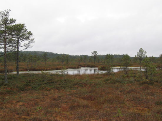 Picture 050